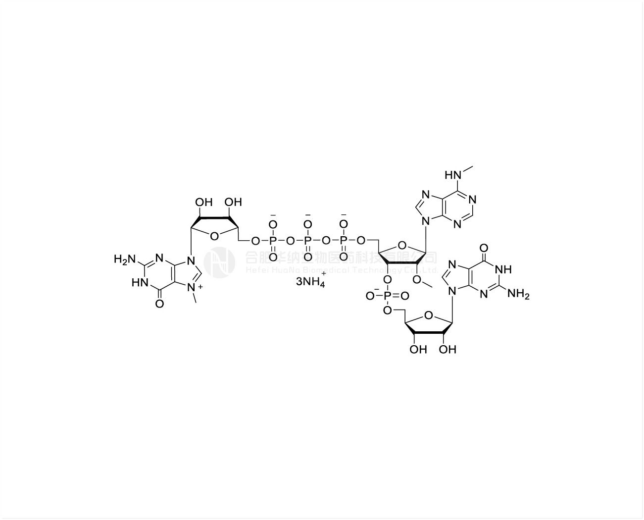 CAP GAG(m6A) m7G(5')ppp(5')(2'OMe,m6A)pG 100mM Ammonium Solution