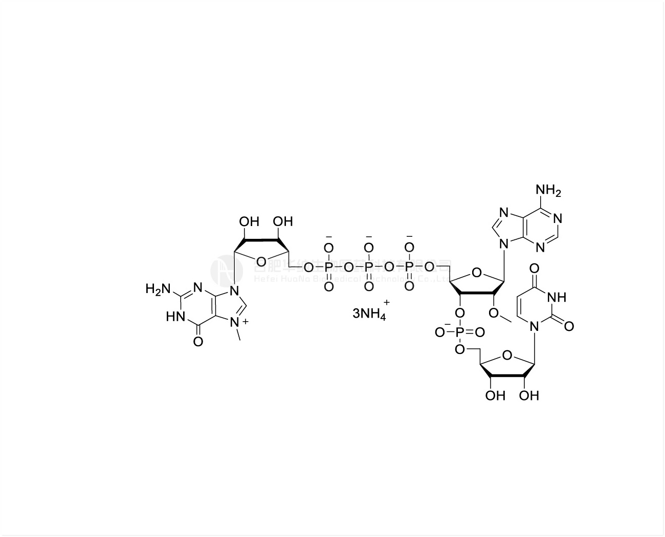 CAP GAU m7G(5')ppp(5')(2'OMeA)pU 100mM Ammonium Solution, GMP grade